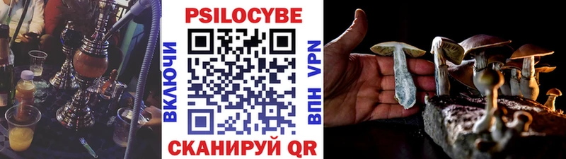 Купить закладки  Бикин  Псилоцибиновые грибы мицелий 